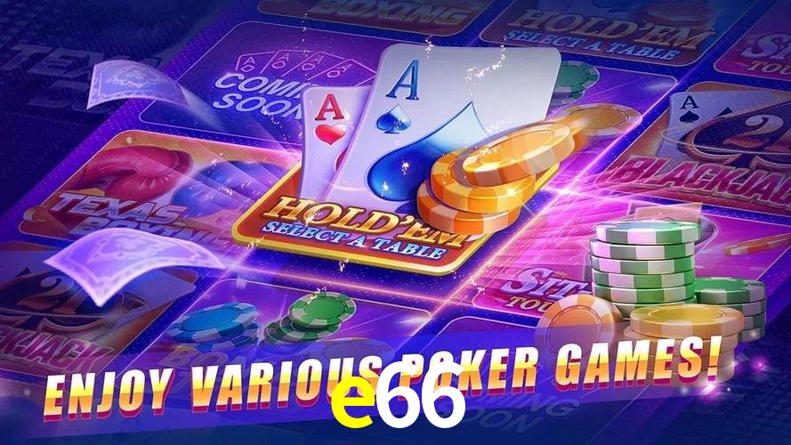 Login Seguro e66